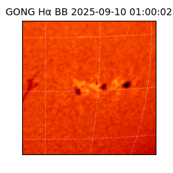 gong - 2025-09-10T01:00:02
