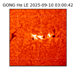 gong - 2025-09-10T03:00:42