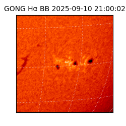 gong - 2025-09-10T21:00:02