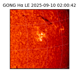 gong - 2025-09-10T02:00:42
