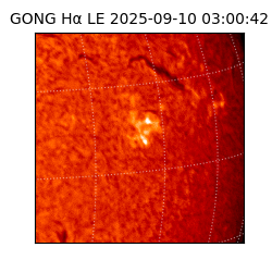 gong - 2025-09-10T03:00:42