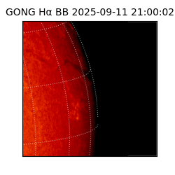 gong - 2025-09-11T21:00:02