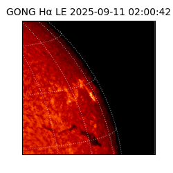 gong - 2025-09-11T02:00:42