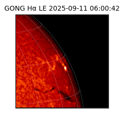 gong - 2025-09-11T06:00:42