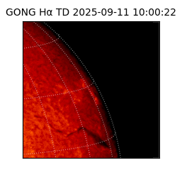 gong - 2025-09-11T10:00:22