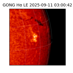 gong - 2025-09-11T03:00:42