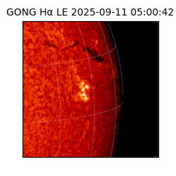 gong - 2025-09-11T05:00:42