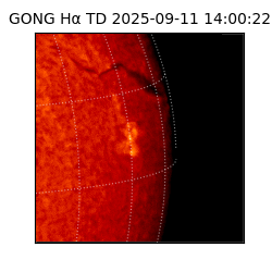 gong - 2025-09-11T14:00:22