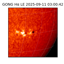 gong - 2025-09-11T03:00:42