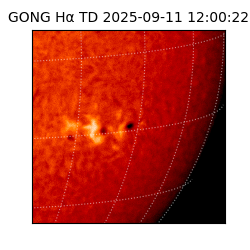 gong - 2025-09-11T12:00:22