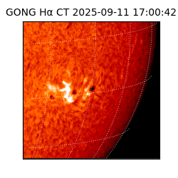 gong - 2025-09-11T17:00:42