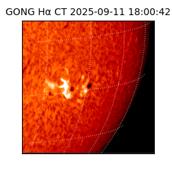 gong - 2025-09-11T18:00:42