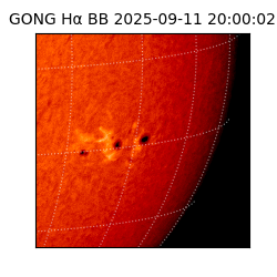 gong - 2025-09-11T20:00:02