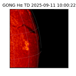 gong - 2025-09-11T10:00:22