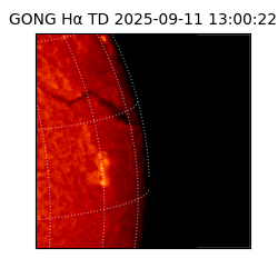 gong - 2025-09-11T13:00:22
