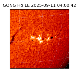 gong - 2025-09-11T04:00:42