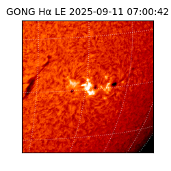 gong - 2025-09-11T07:00:42