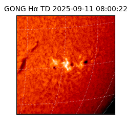 gong - 2025-09-11T08:00:22