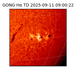 gong - 2025-09-11T09:00:22