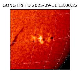 gong - 2025-09-11T13:00:22