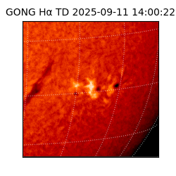 gong - 2025-09-11T14:00:22