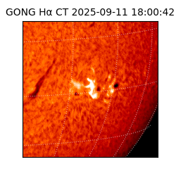 gong - 2025-09-11T18:00:42