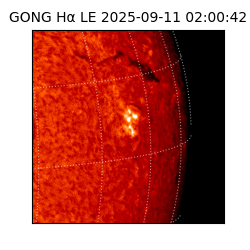 gong - 2025-09-11T02:00:42