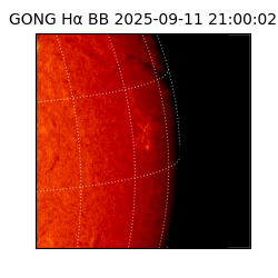 gong - 2025-09-11T21:00:02
