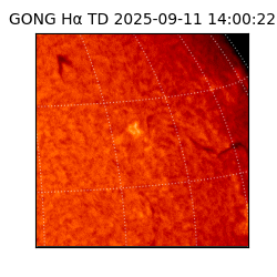 gong - 2025-09-11T14:00:22