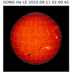 gong - 2025-09-11T02:00:42