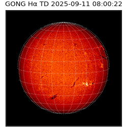 gong - 2025-09-11T08:00:22