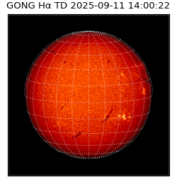 gong - 2025-09-11T14:00:22