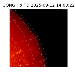 gong - 2025-09-12T14:00:22