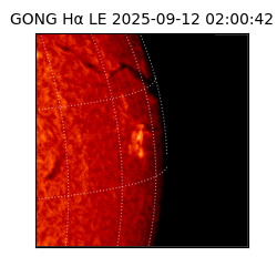 gong - 2025-09-12T02:00:42