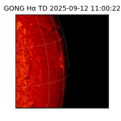 gong - 2025-09-12T11:00:22
