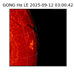 gong - 2025-09-12T03:00:42