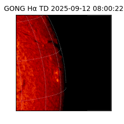 gong - 2025-09-12T08:00:22