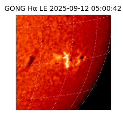 gong - 2025-09-12T05:00:42
