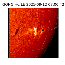 gong - 2025-09-12T07:00:42