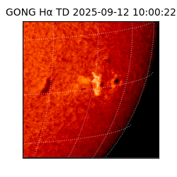 gong - 2025-09-12T10:00:22