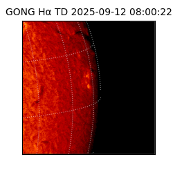 gong - 2025-09-12T08:00:22