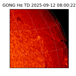 gong - 2025-09-12T08:00:22