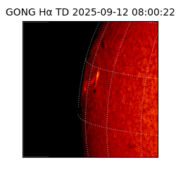 gong - 2025-09-12T08:00:22