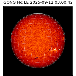 gong - 2025-09-12T03:00:42