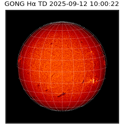 gong - 2025-09-12T10:00:22