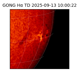 gong - 2025-09-13T10:00:22