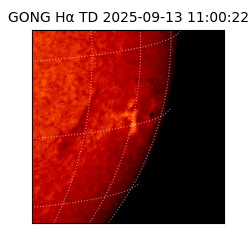 gong - 2025-09-13T11:00:22