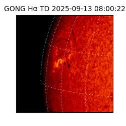 gong - 2025-09-13T08:00:22