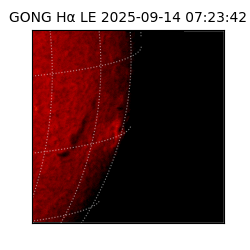 gong - 2025-09-14T07:23:42