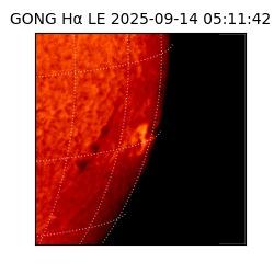gong - 2025-09-14T05:11:42
